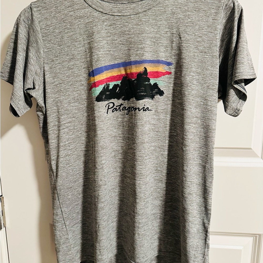 Patagonia Gray Graphic T-Shirt
